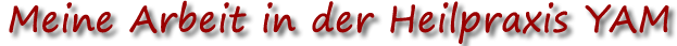 Meine Arbeit in der Heilpraxis YAM